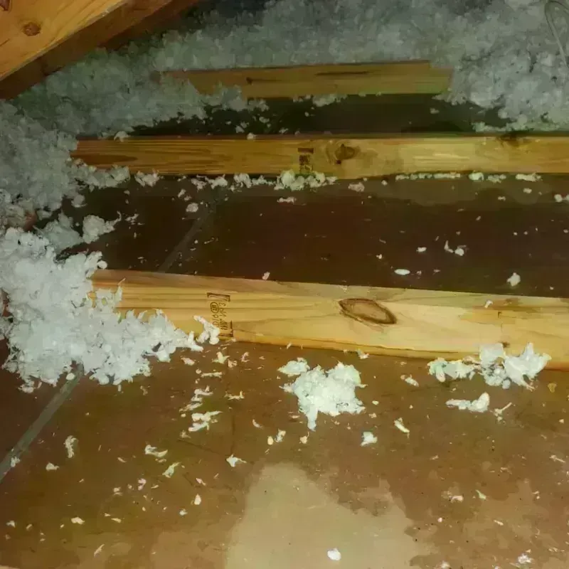 Attic Water Damage in Merkel, TX