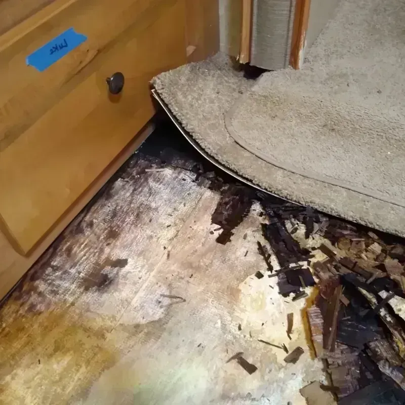 Wood Floor Water Damage in Merkel, TX